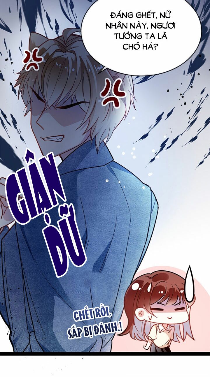 Em là bạc hà mèo của tôi: Chapter 10