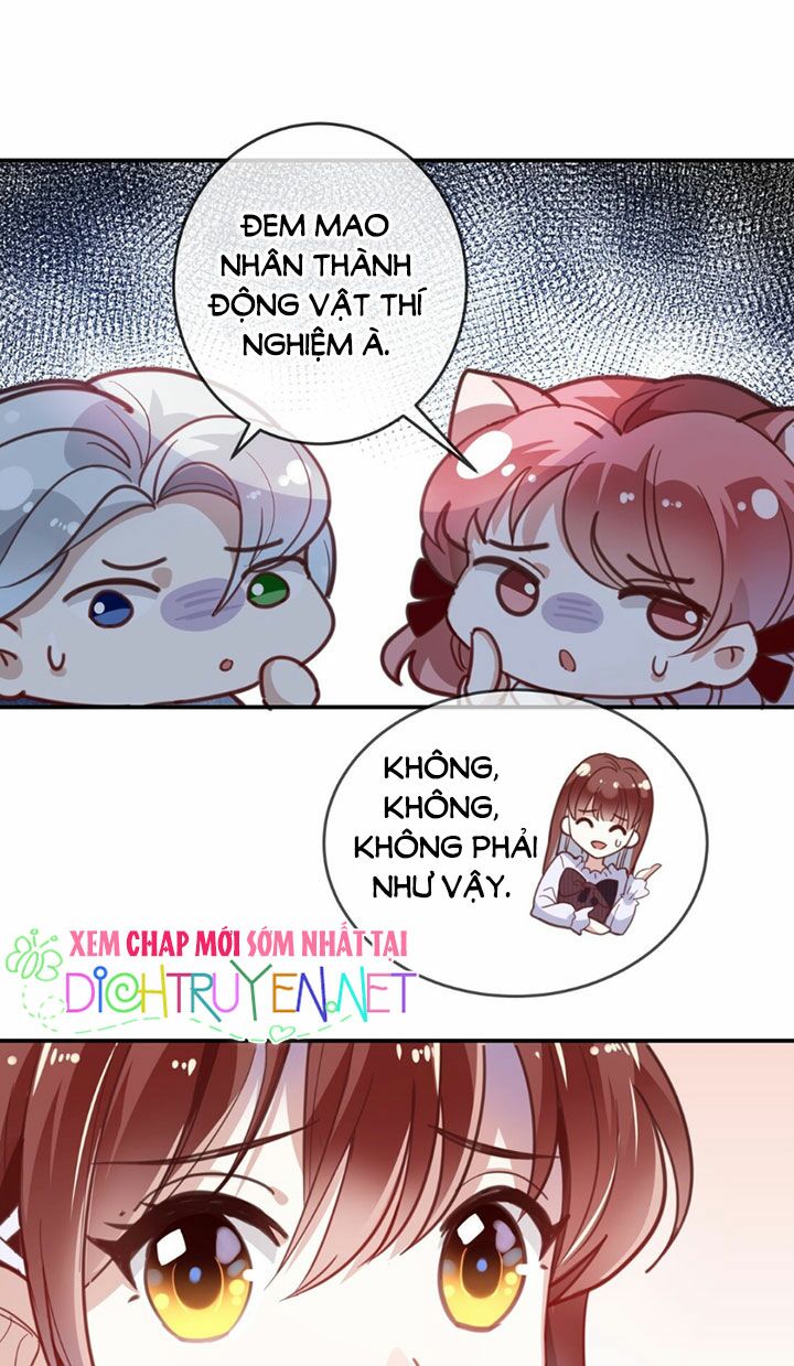 Em là bạc hà mèo của tôi: Chapter 11