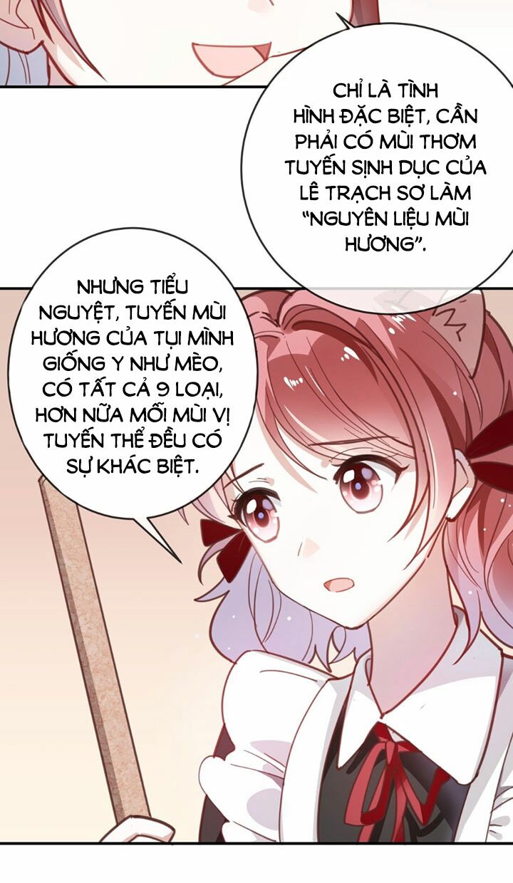 Em là bạc hà mèo của tôi: Chapter 11
