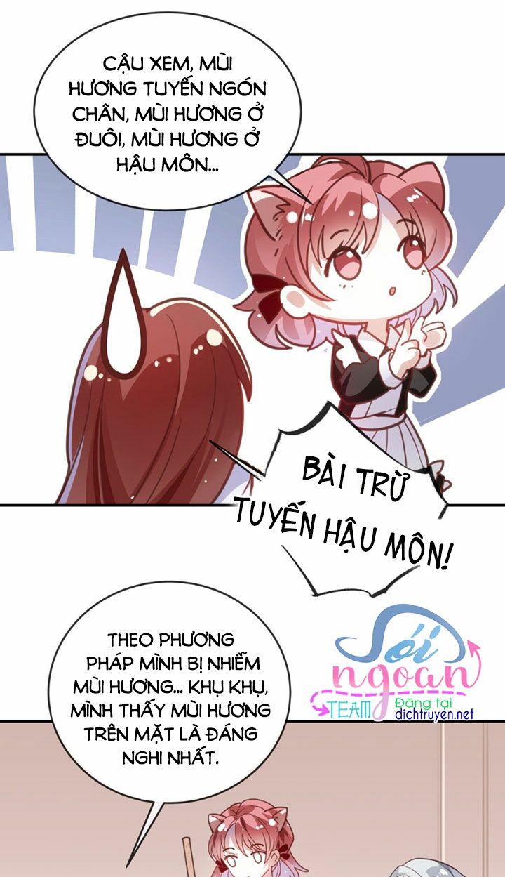 Em là bạc hà mèo của tôi: Chapter 11