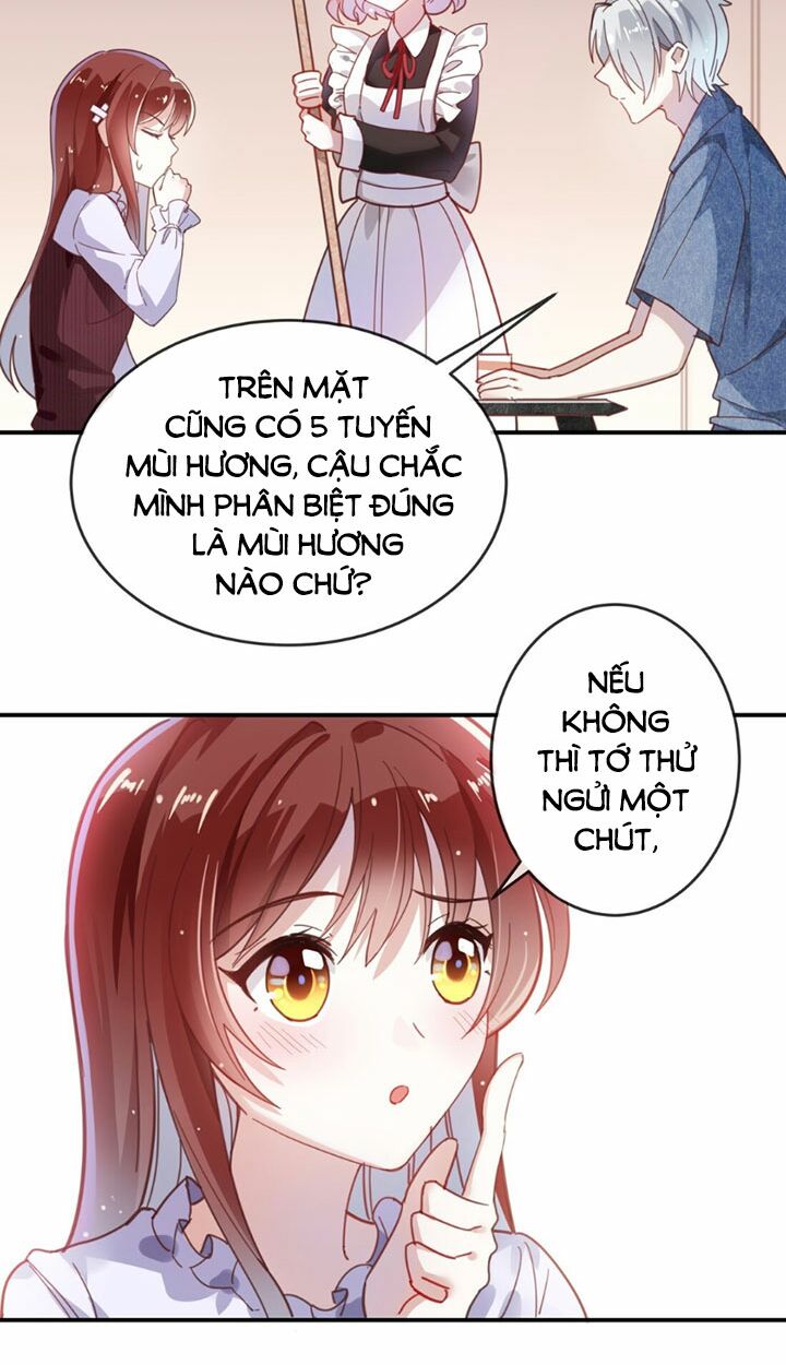 Em là bạc hà mèo của tôi: Chapter 11