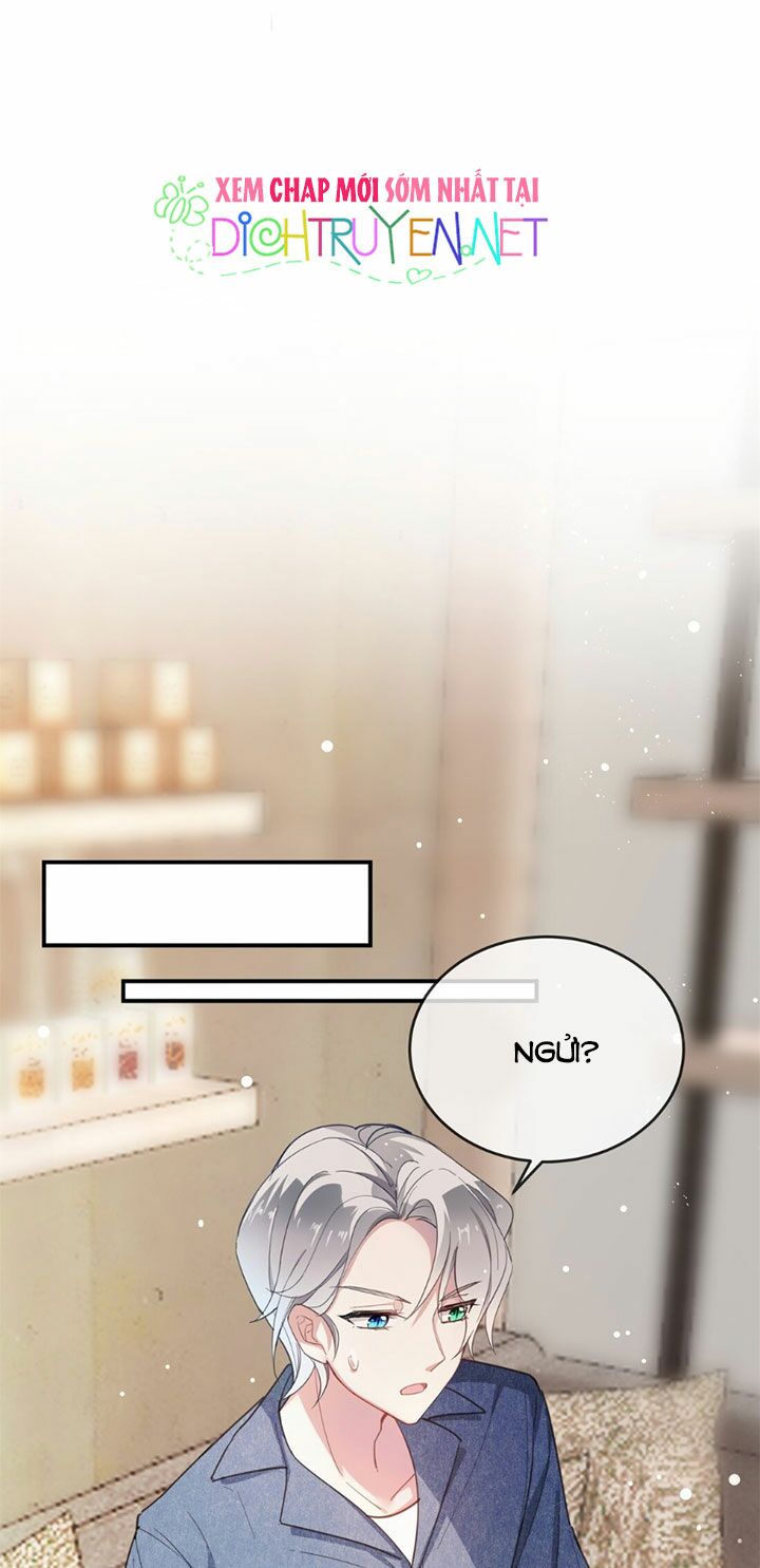 Em là bạc hà mèo của tôi: Chapter 11