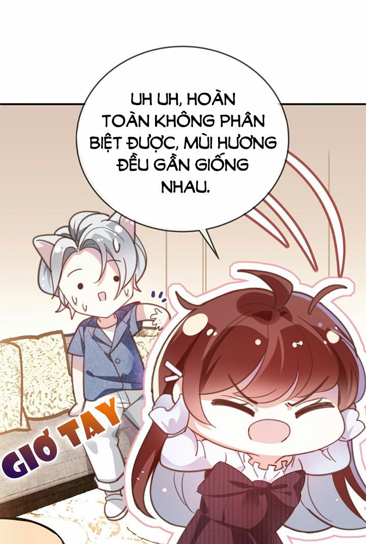 Em là bạc hà mèo của tôi: Chapter 11