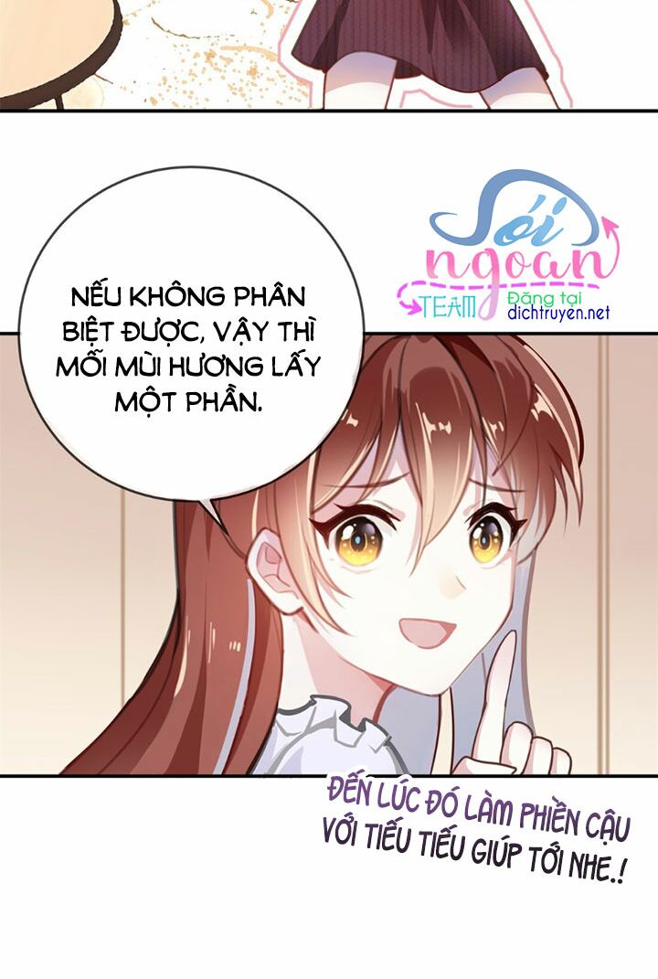 Em là bạc hà mèo của tôi: Chapter 11