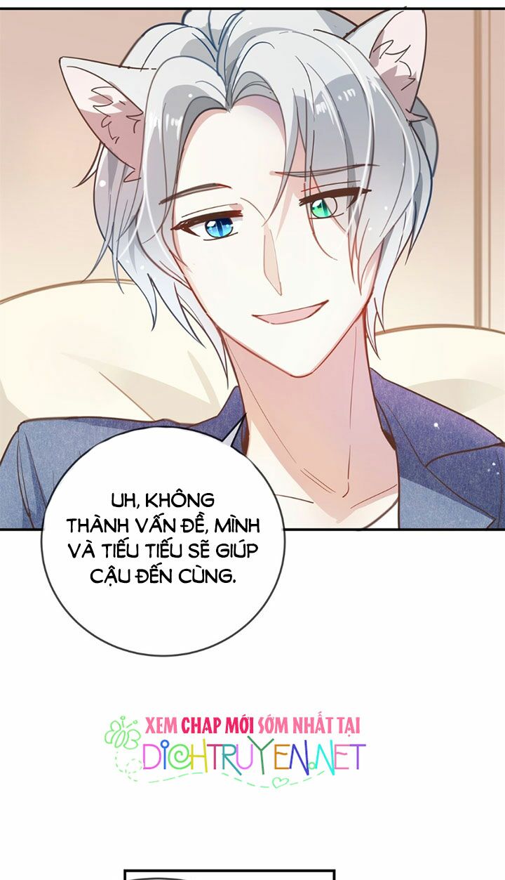 Em là bạc hà mèo của tôi: Chapter 11