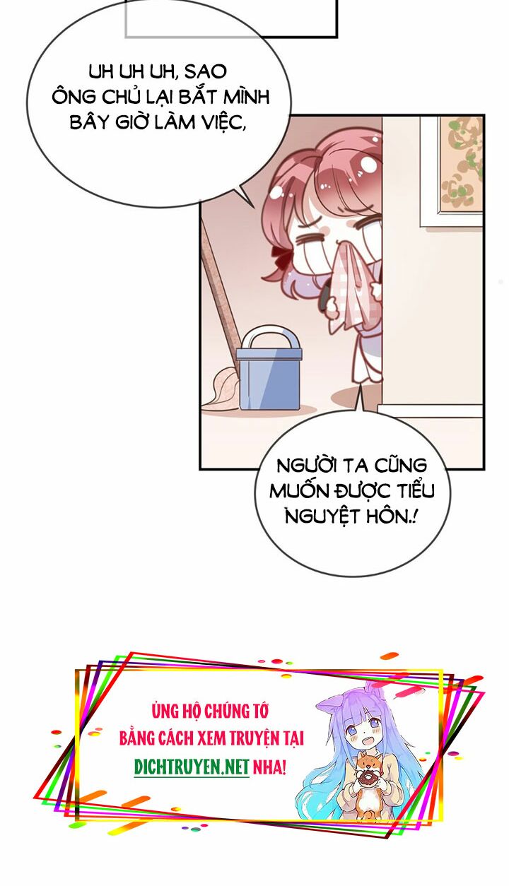 Em là bạc hà mèo của tôi: Chapter 11