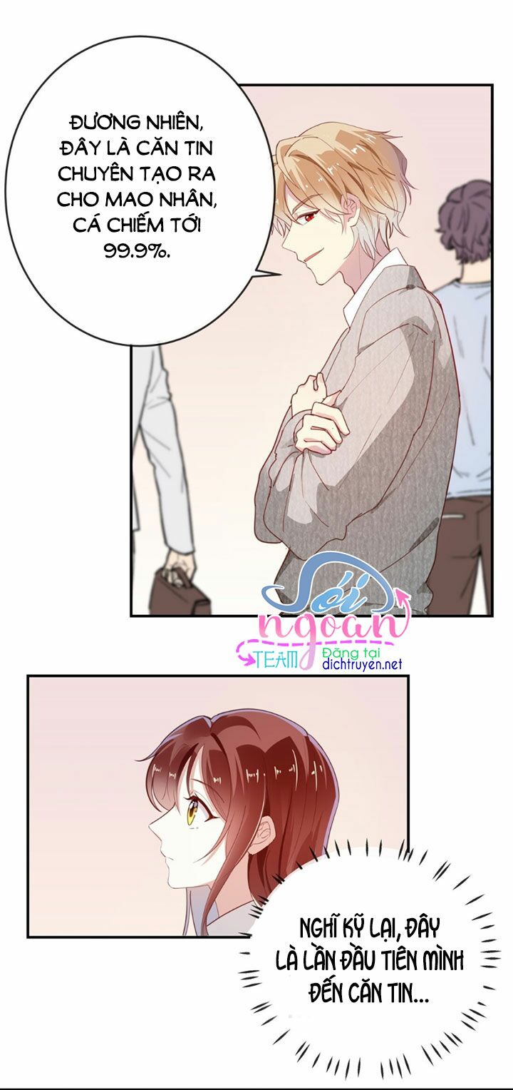 Em là bạc hà mèo của tôi: Chapter 12