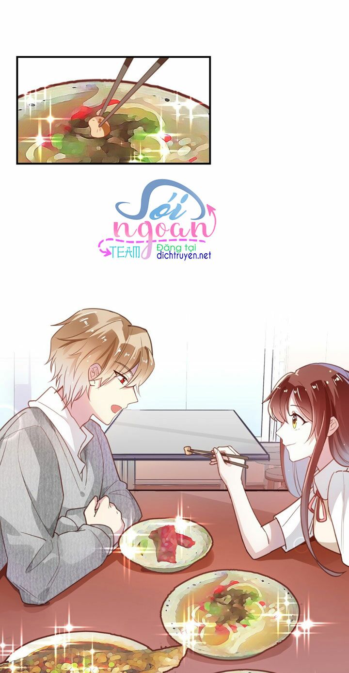 Em là bạc hà mèo của tôi: Chapter 12
