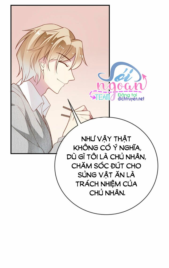 Em là bạc hà mèo của tôi: Chapter 12