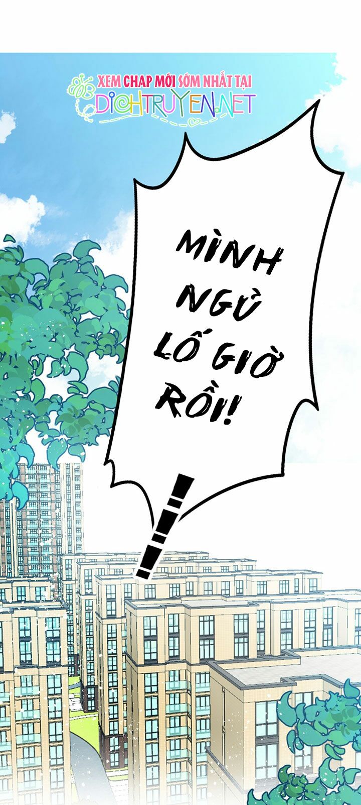 Em là bạc hà mèo của tôi: Chapter 13