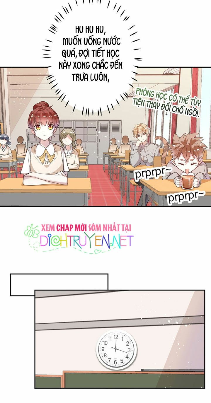 Em là bạc hà mèo của tôi: Chapter 13