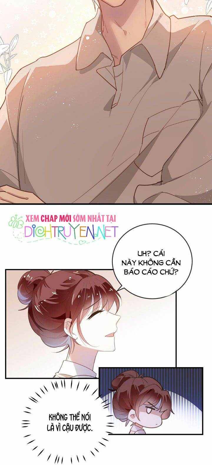 Em là bạc hà mèo của tôi: Chapter 13