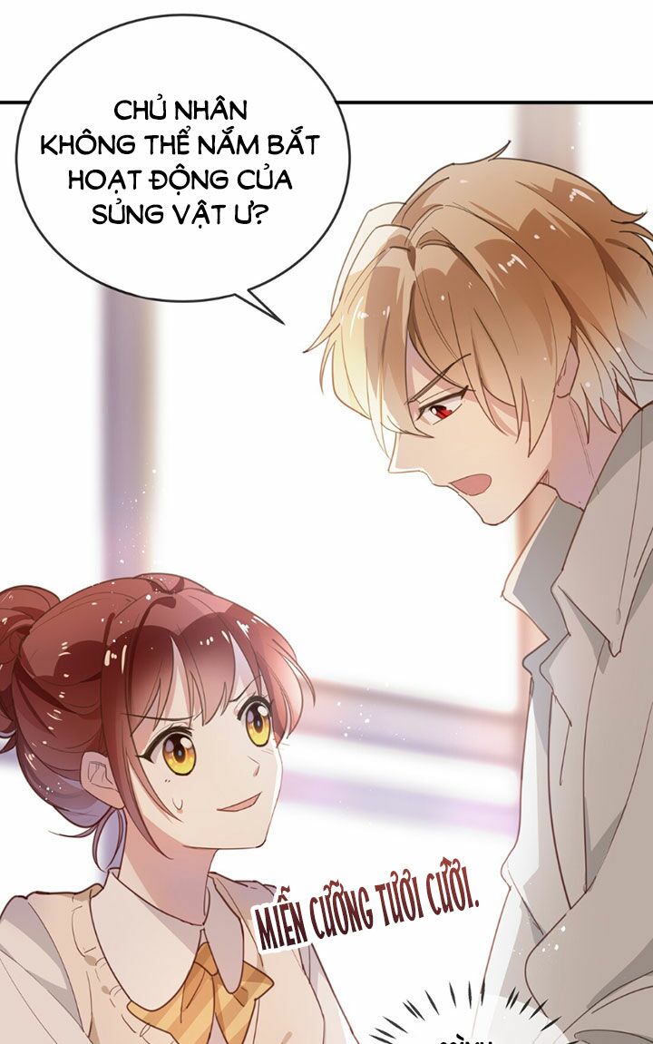 Em là bạc hà mèo của tôi: Chapter 13