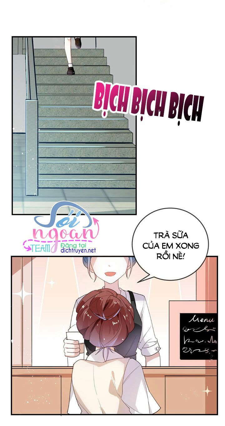 Em là bạc hà mèo của tôi: Chapter 13