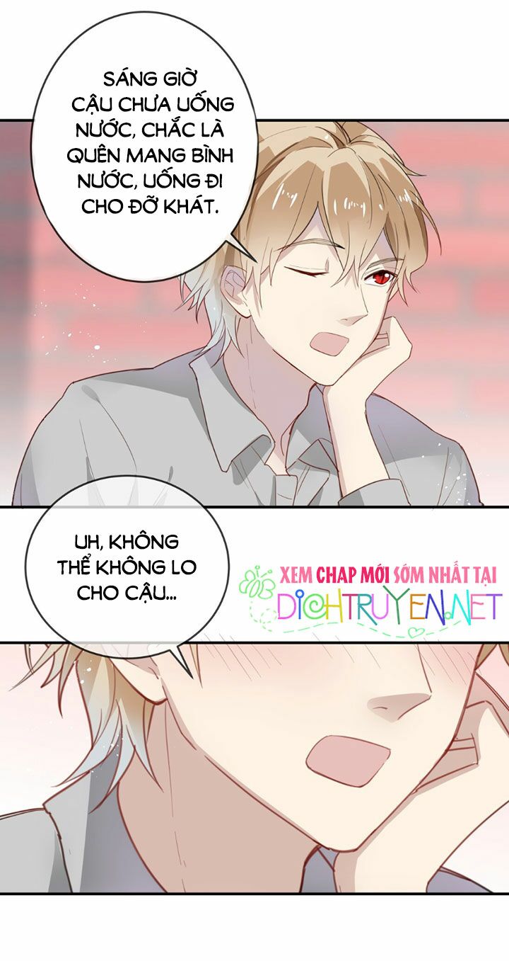 Em là bạc hà mèo của tôi: Chapter 13