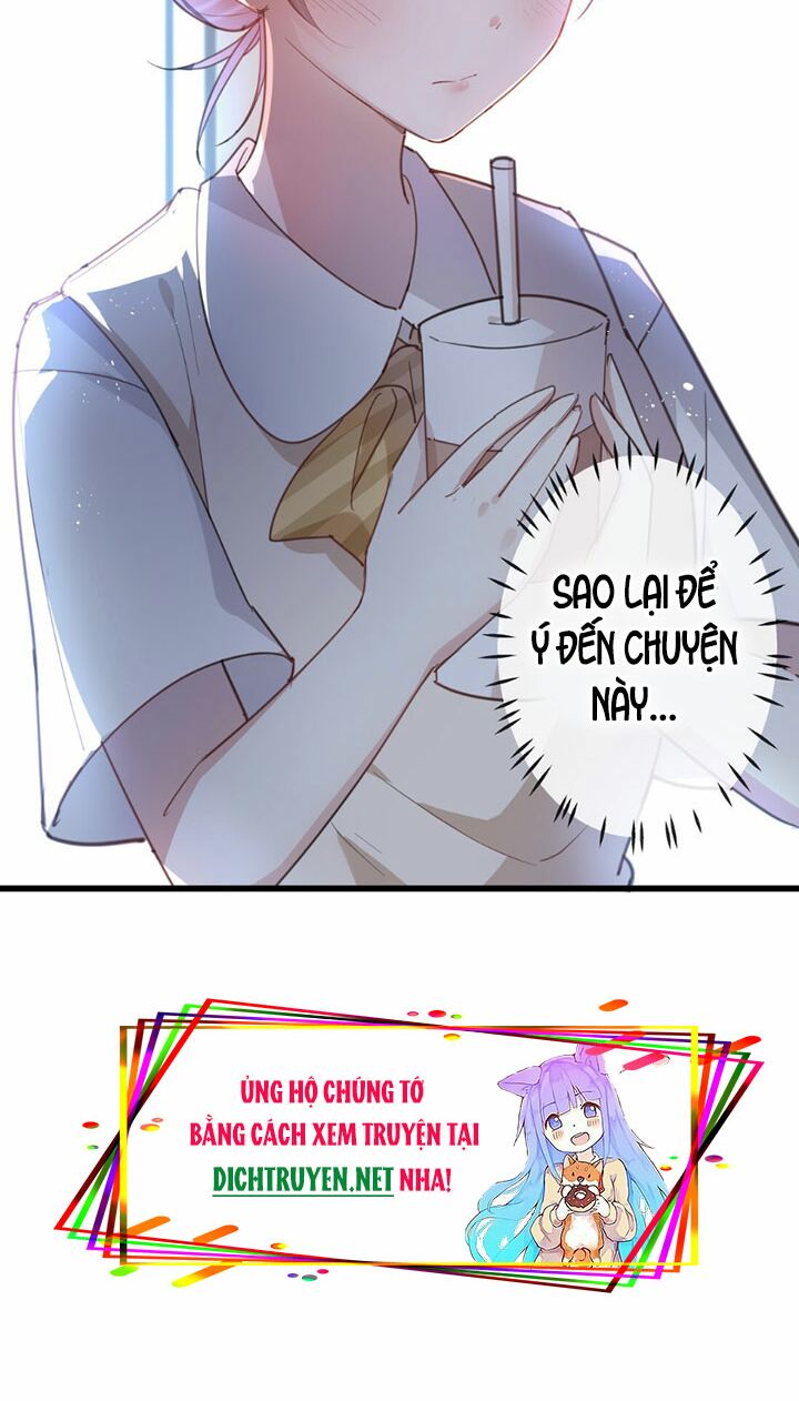 Em là bạc hà mèo của tôi: Chapter 13