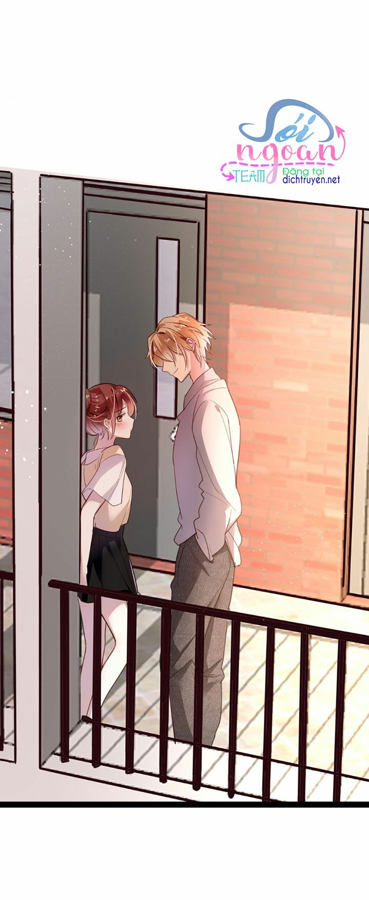Em là bạc hà mèo của tôi: Chapter 14