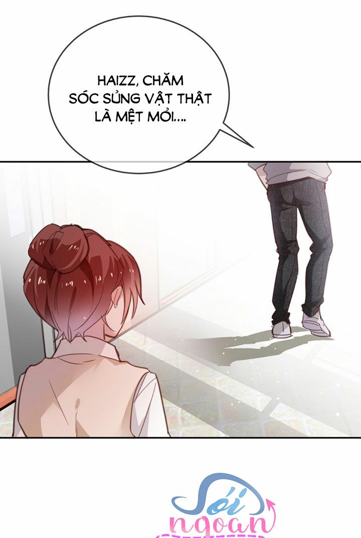 Em là bạc hà mèo của tôi: Chapter 14