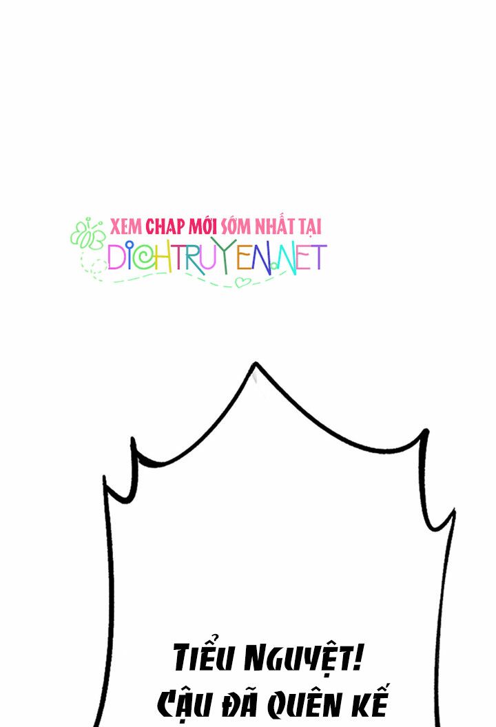Em là bạc hà mèo của tôi: Chapter 14