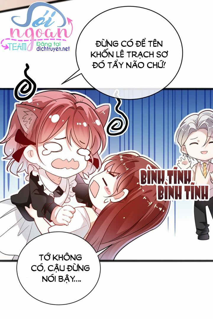 Em là bạc hà mèo của tôi: Chapter 14