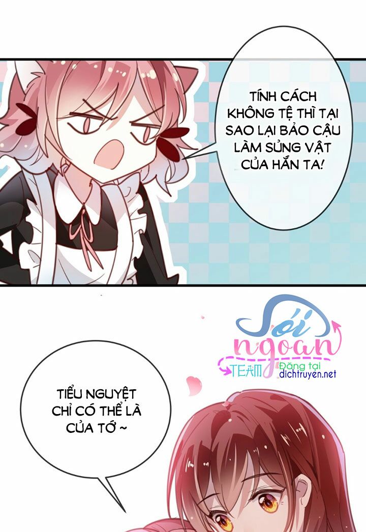 Em là bạc hà mèo của tôi: Chapter 14