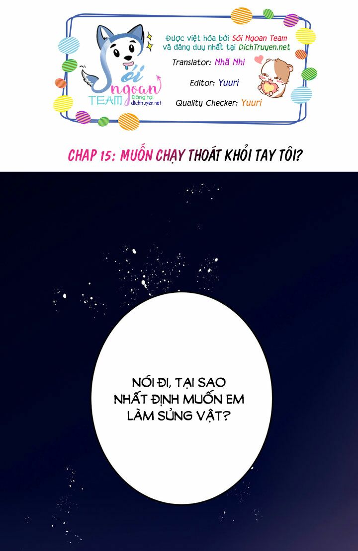 Em là bạc hà mèo của tôi: Chapter 15