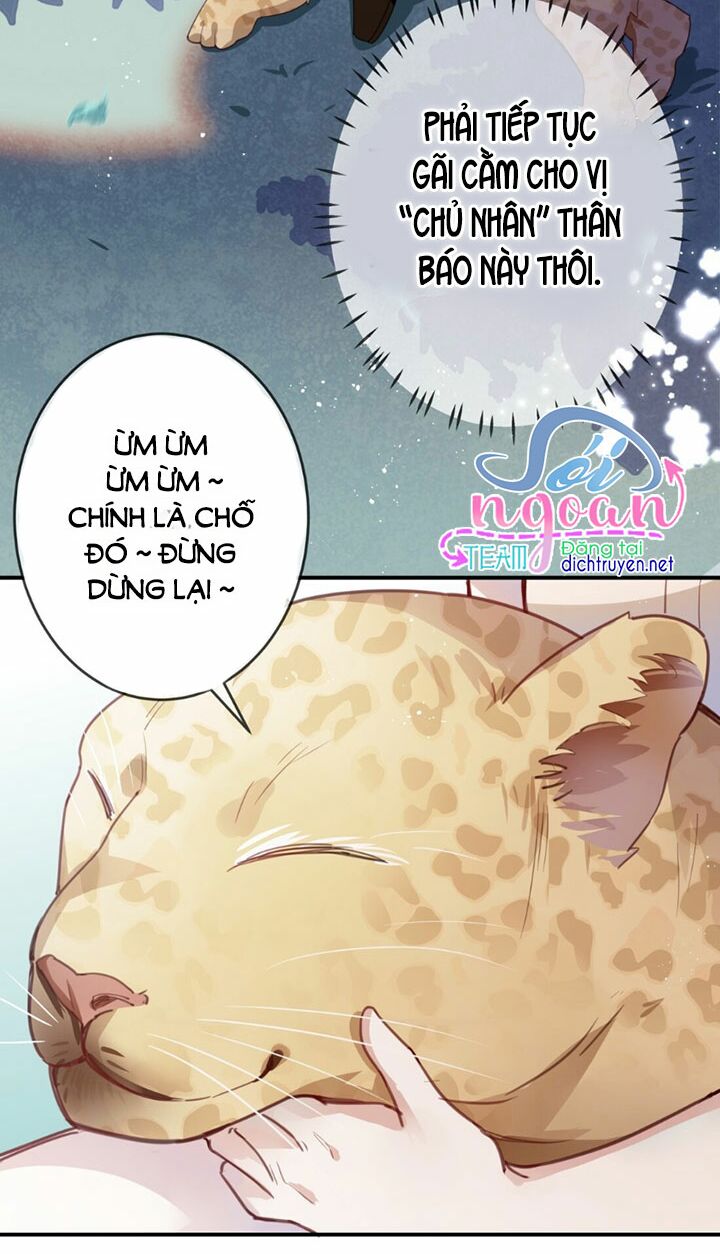 Em là bạc hà mèo của tôi: Chapter 15