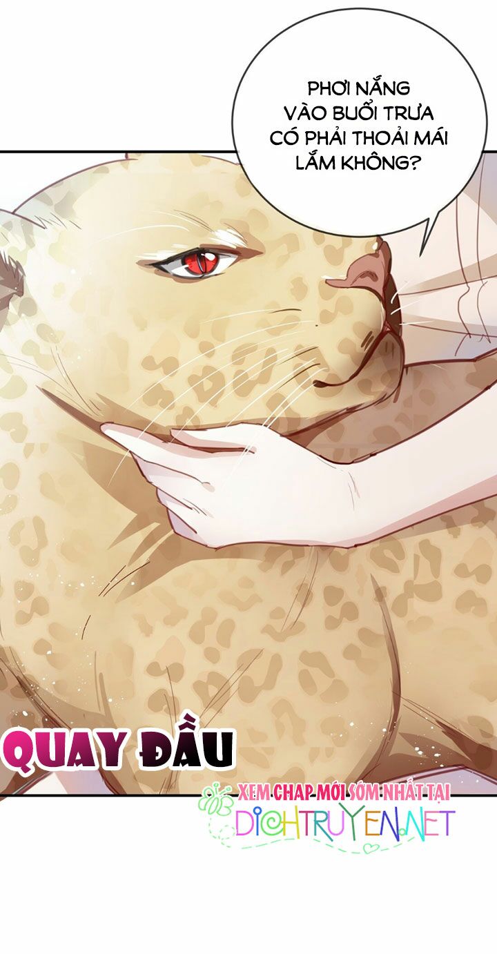 Em là bạc hà mèo của tôi: Chapter 15