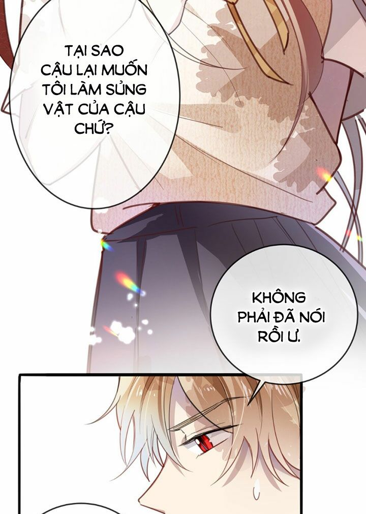 Em là bạc hà mèo của tôi: Chapter 15