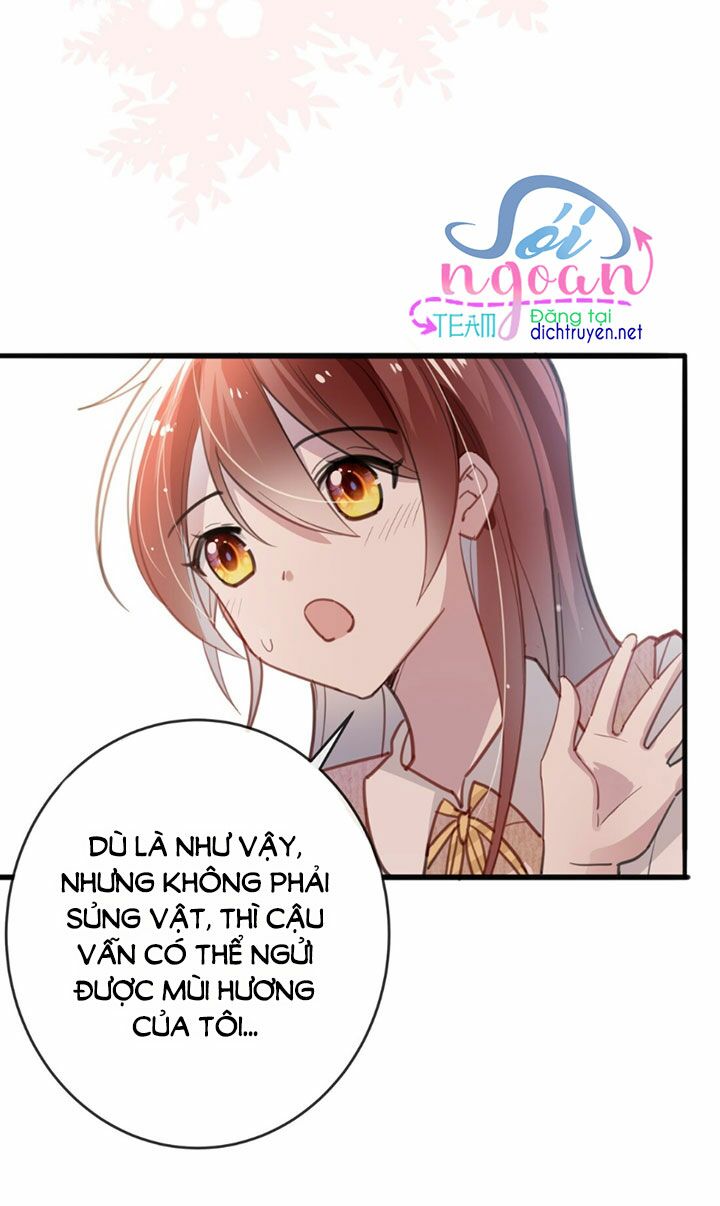 Em là bạc hà mèo của tôi: Chapter 15