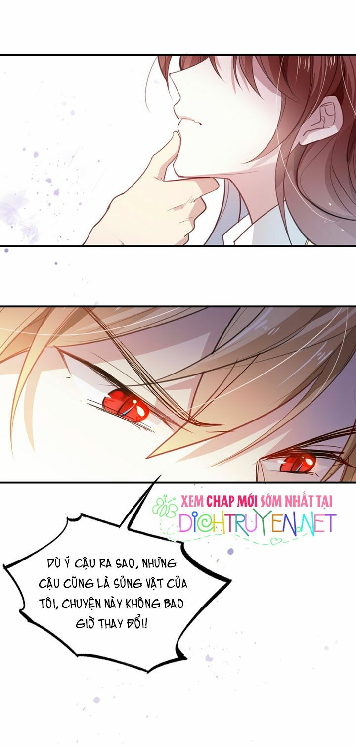Em là bạc hà mèo của tôi: Chapter 15
