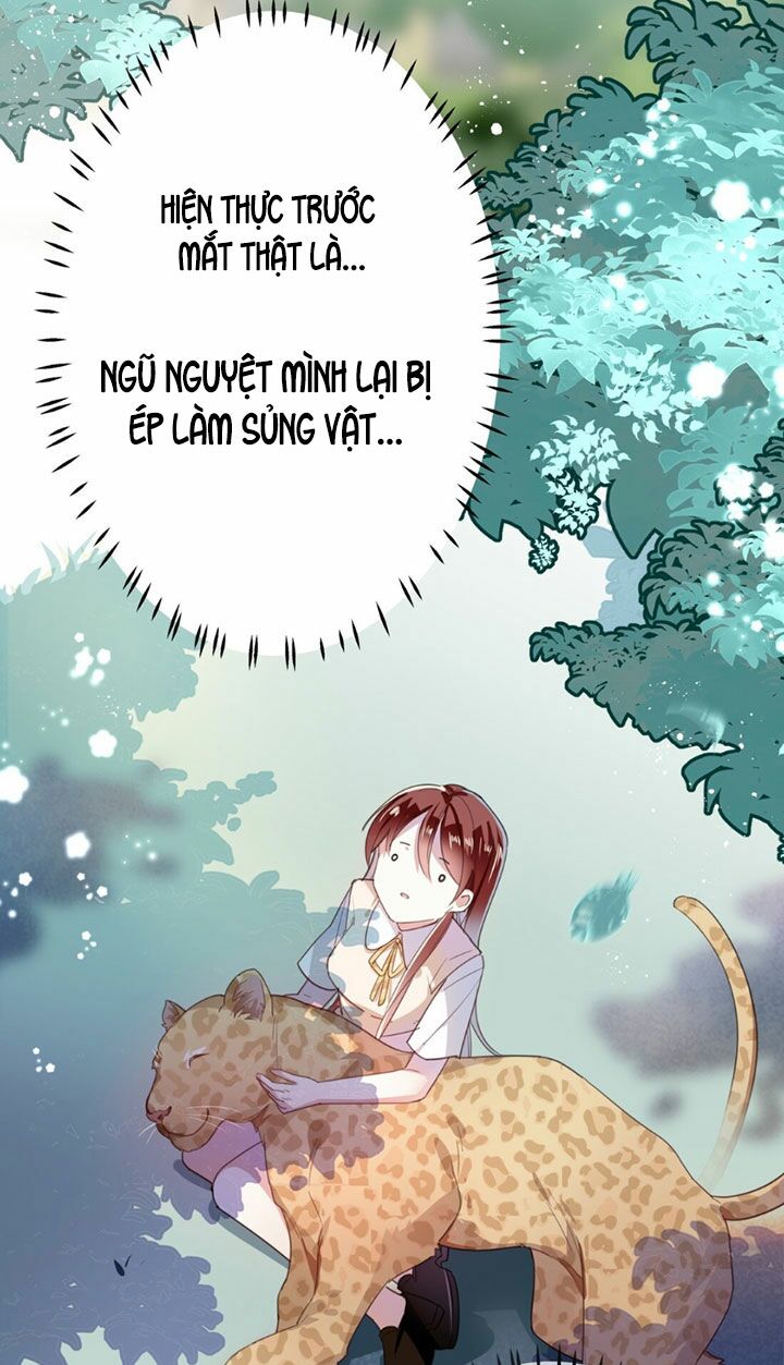 Em là bạc hà mèo của tôi: Chapter 15
