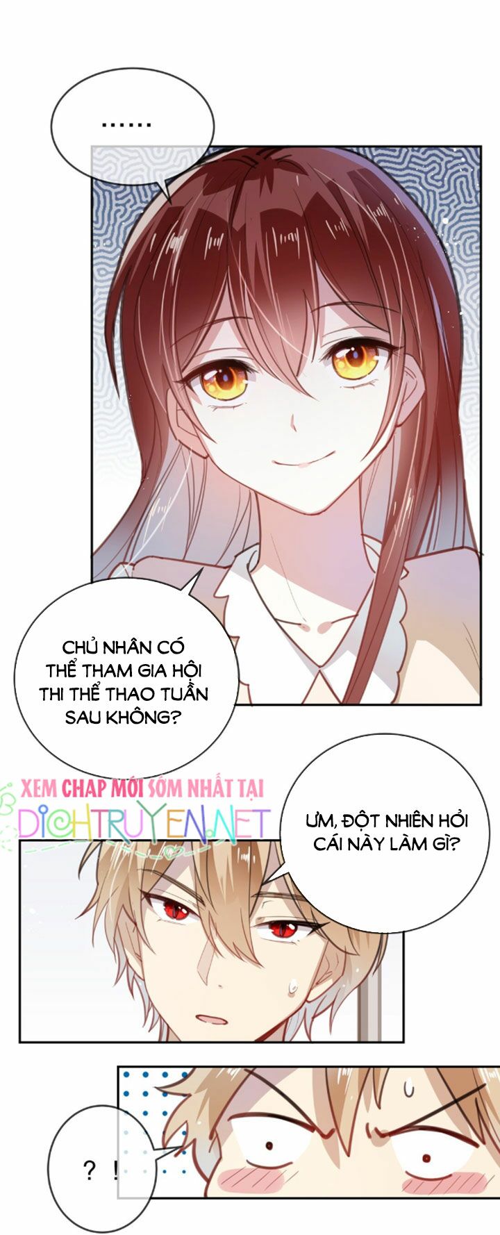 Em là bạc hà mèo của tôi: Chapter 16