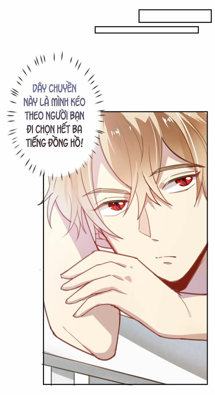 Em là bạc hà mèo của tôi: Chapter 16