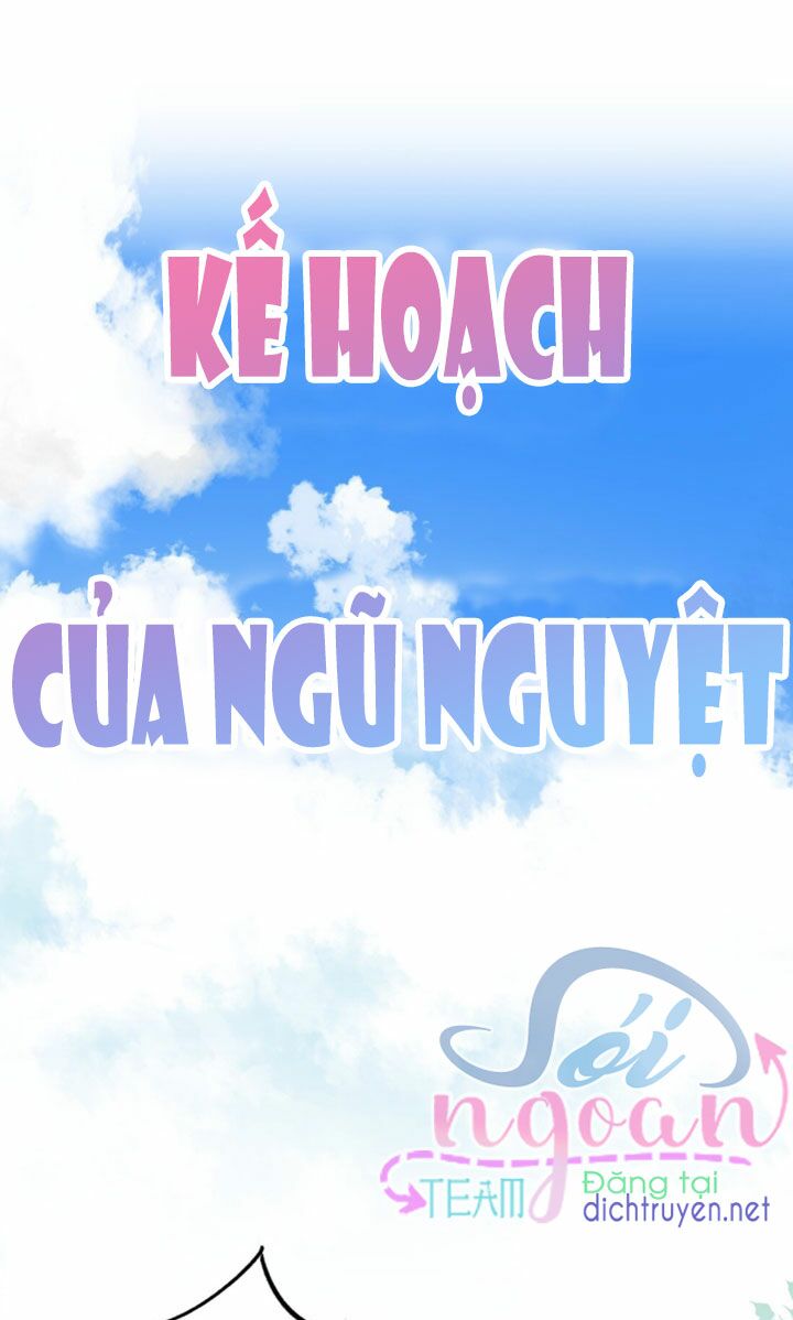 Em là bạc hà mèo của tôi: Chapter 16