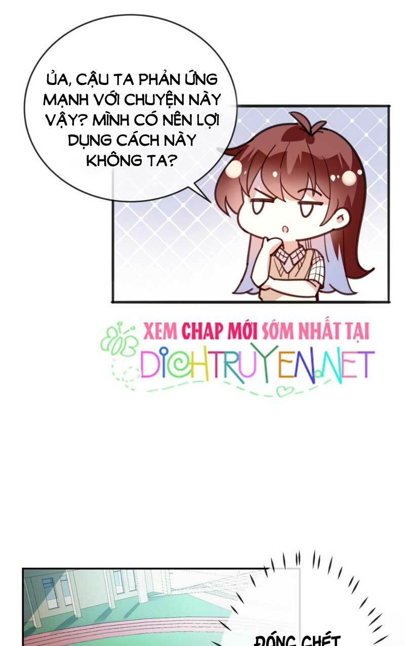 Em là bạc hà mèo của tôi: Chapter 17