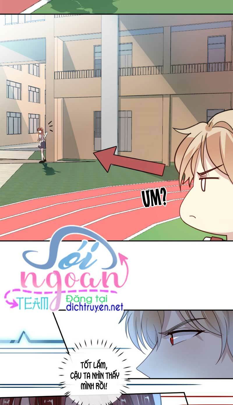 Em là bạc hà mèo của tôi: Chapter 17