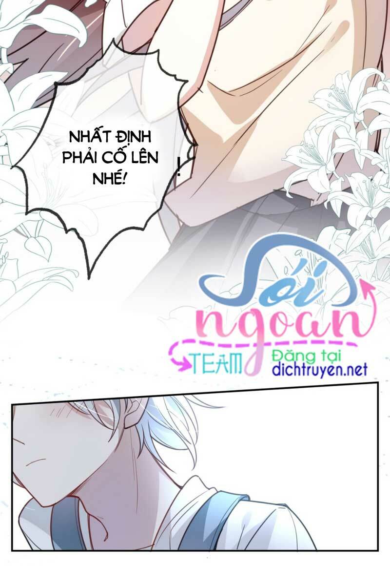 Em là bạc hà mèo của tôi: Chapter 17