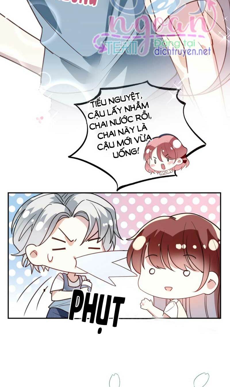 Em là bạc hà mèo của tôi: Chapter 17