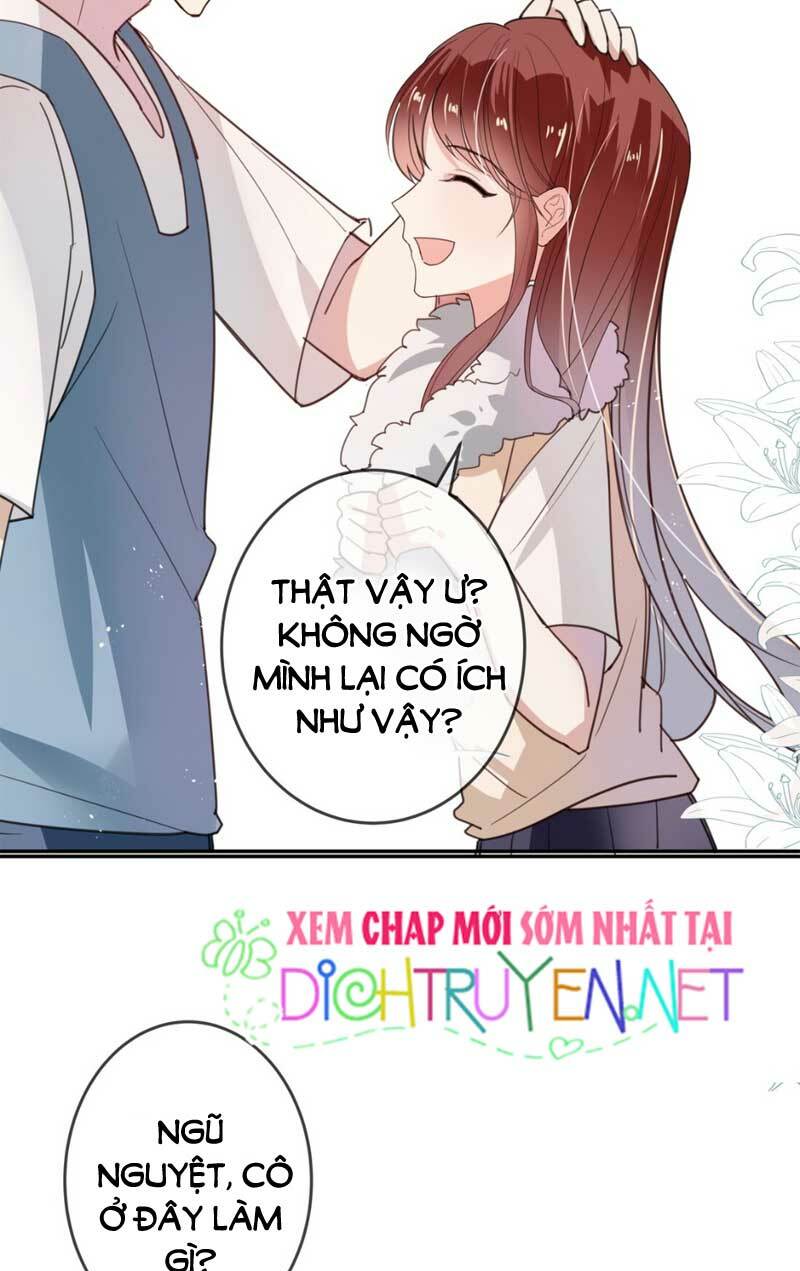 Em là bạc hà mèo của tôi: Chapter 17