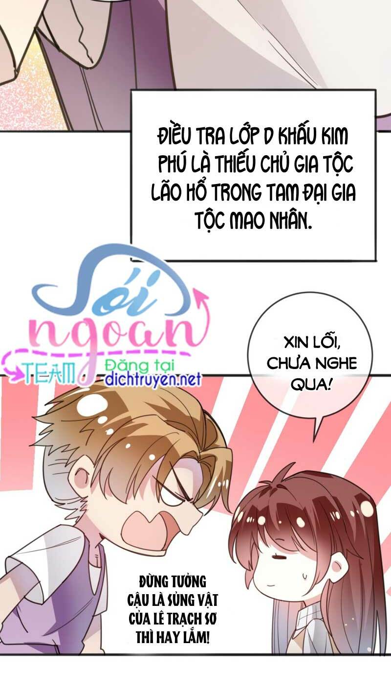Em là bạc hà mèo của tôi: Chapter 17