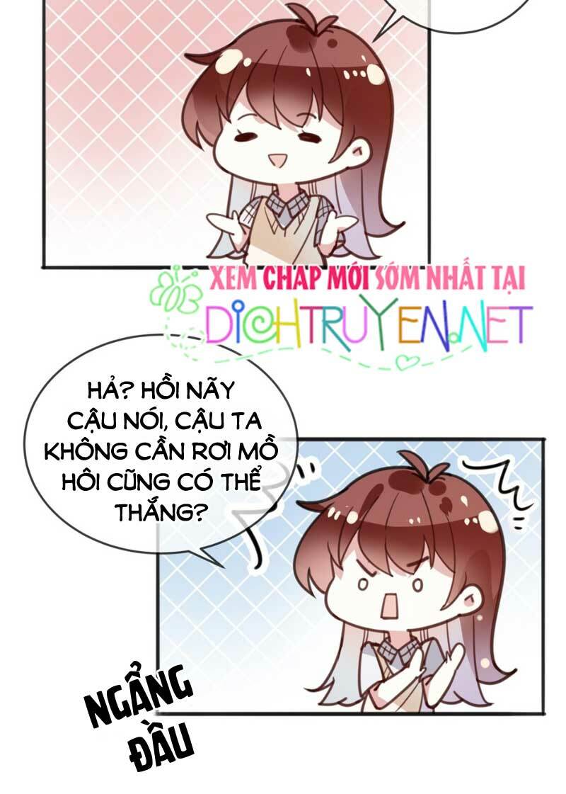 Em là bạc hà mèo của tôi: Chapter 17