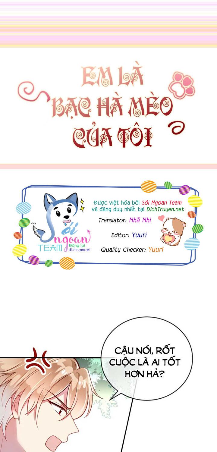 Em là bạc hà mèo của tôi: Chapter 18