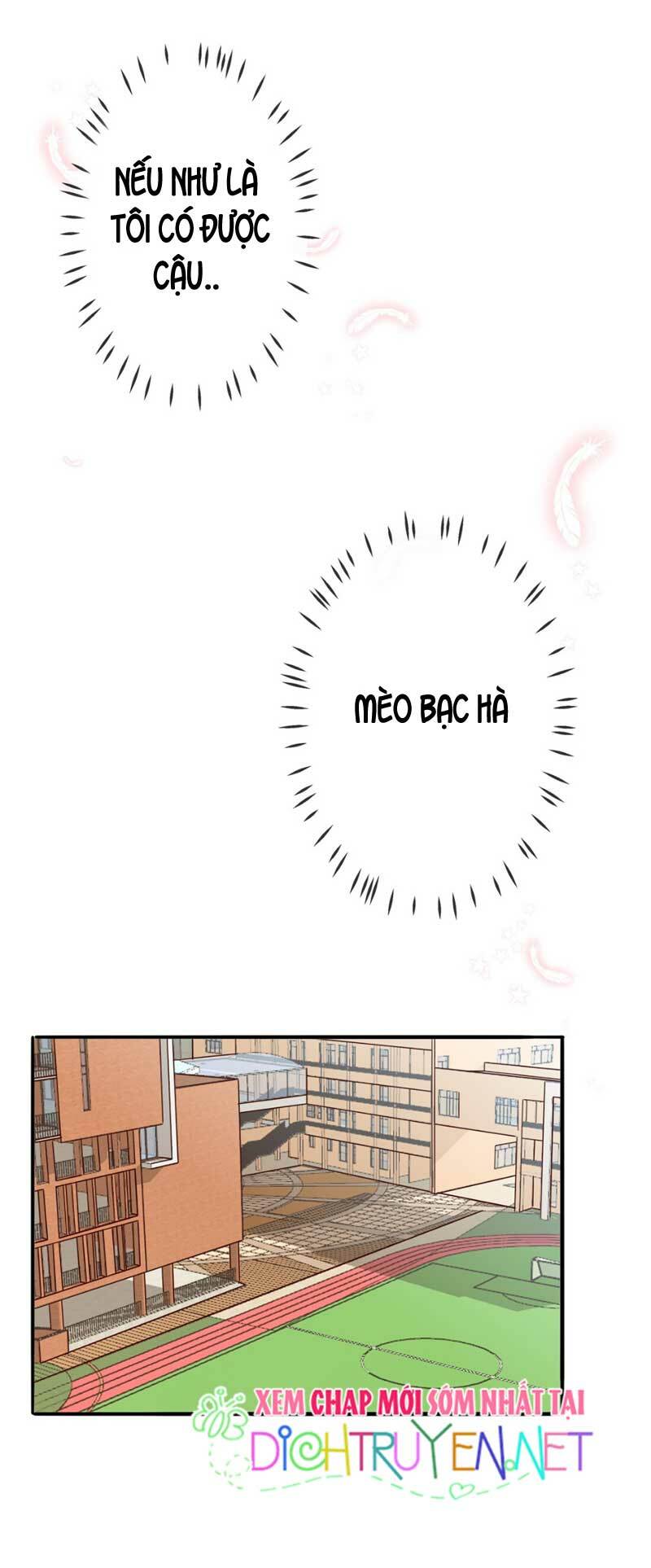 Em là bạc hà mèo của tôi: Chapter 18
