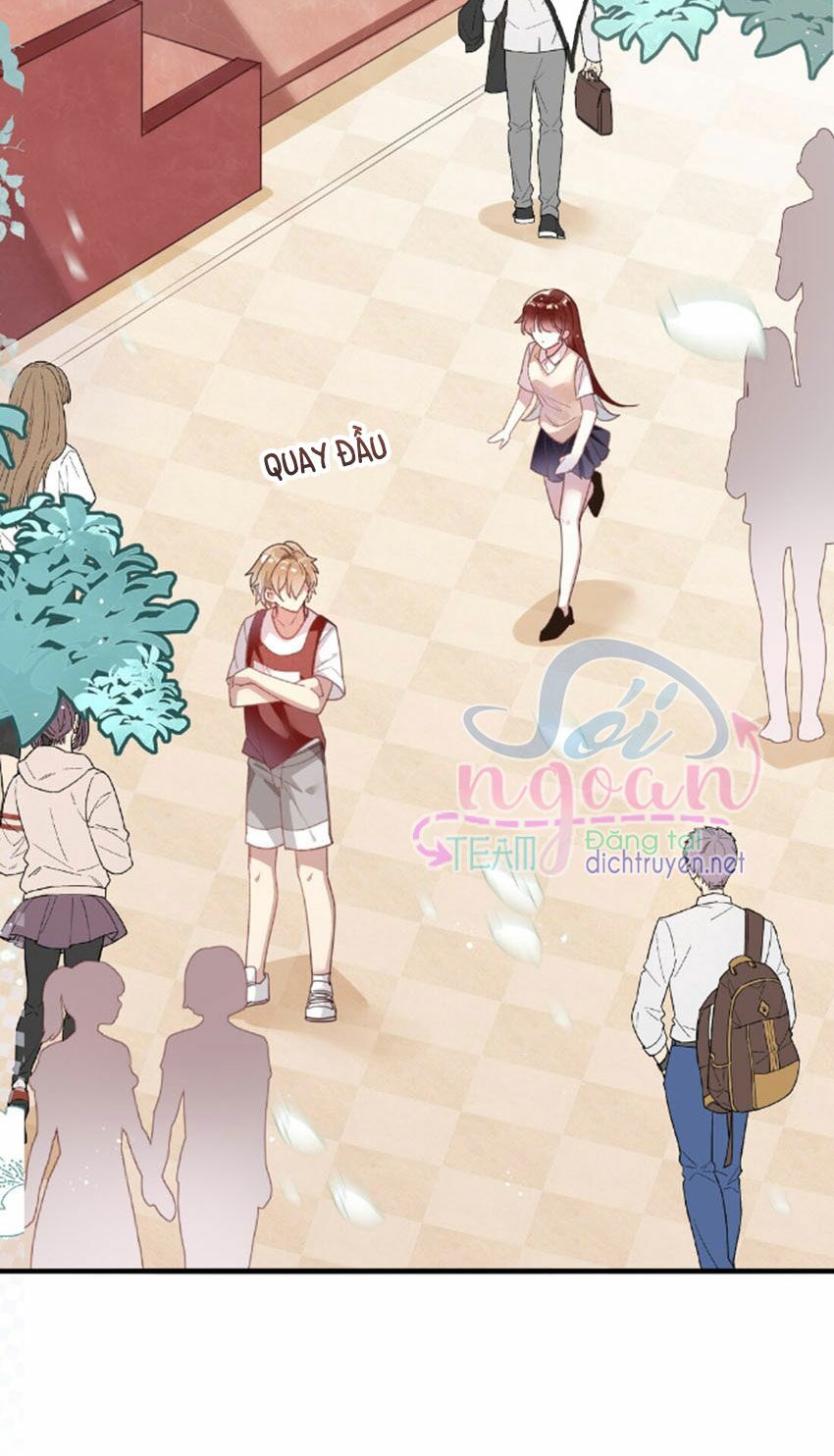 Em là bạc hà mèo của tôi: Chapter 19