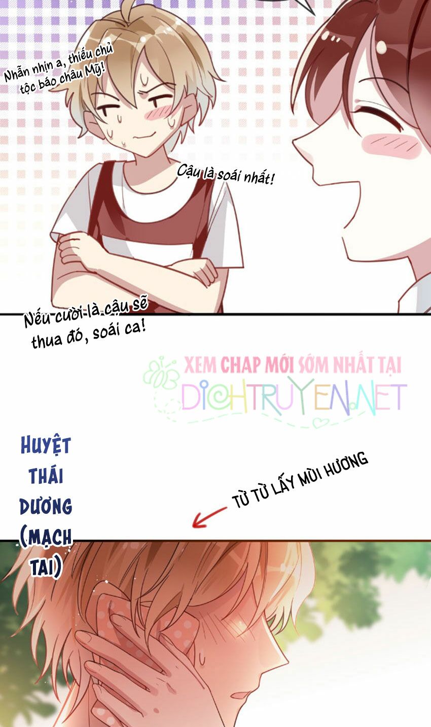 Em là bạc hà mèo của tôi: Chapter 19