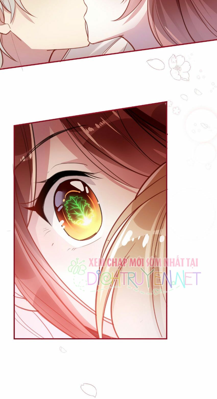 Em là bạc hà mèo của tôi: Chapter 19