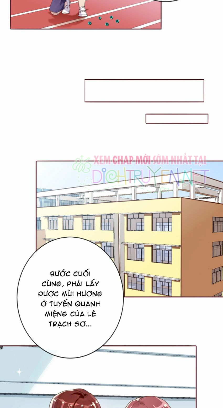 Em là bạc hà mèo của tôi: Chapter 19