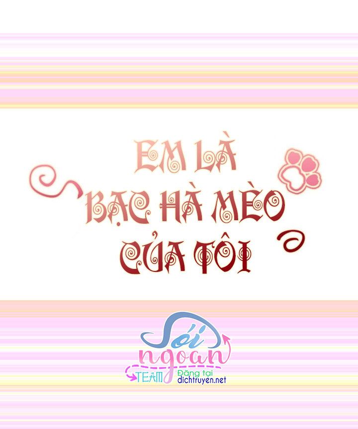 Em là bạc hà mèo của tôi: Chapter 19