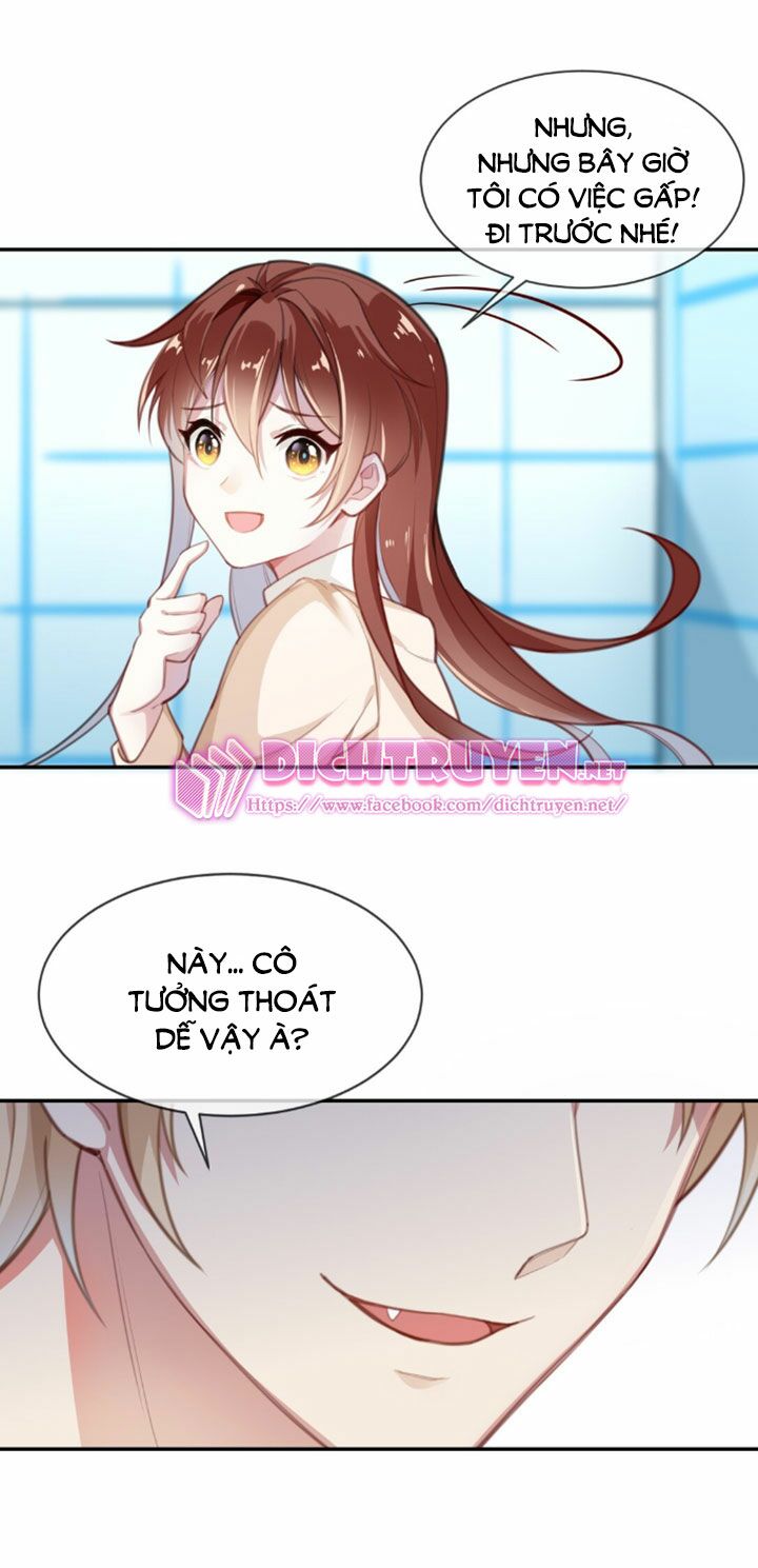 Em là bạc hà mèo của tôi: Chapter 2